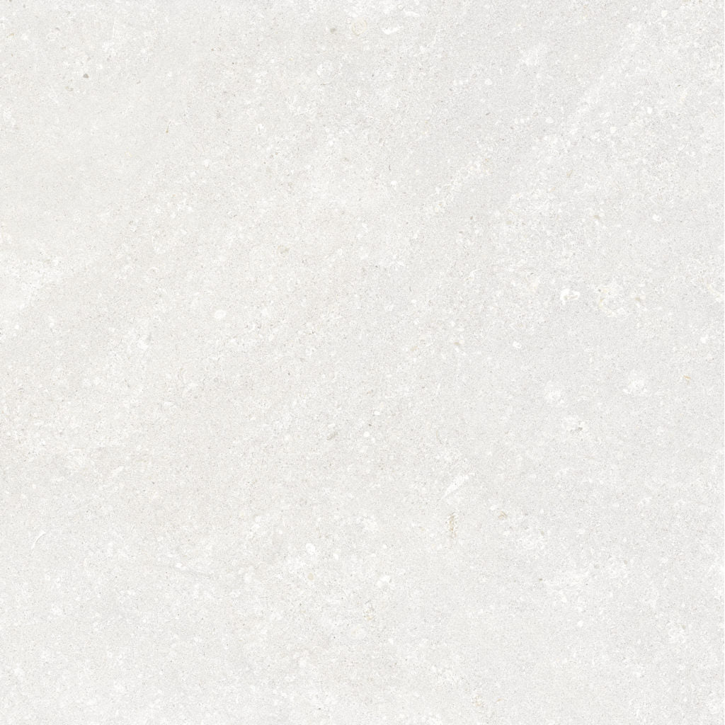 Fossil Limestone