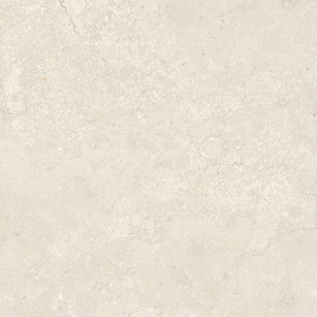 Fossil Limestone