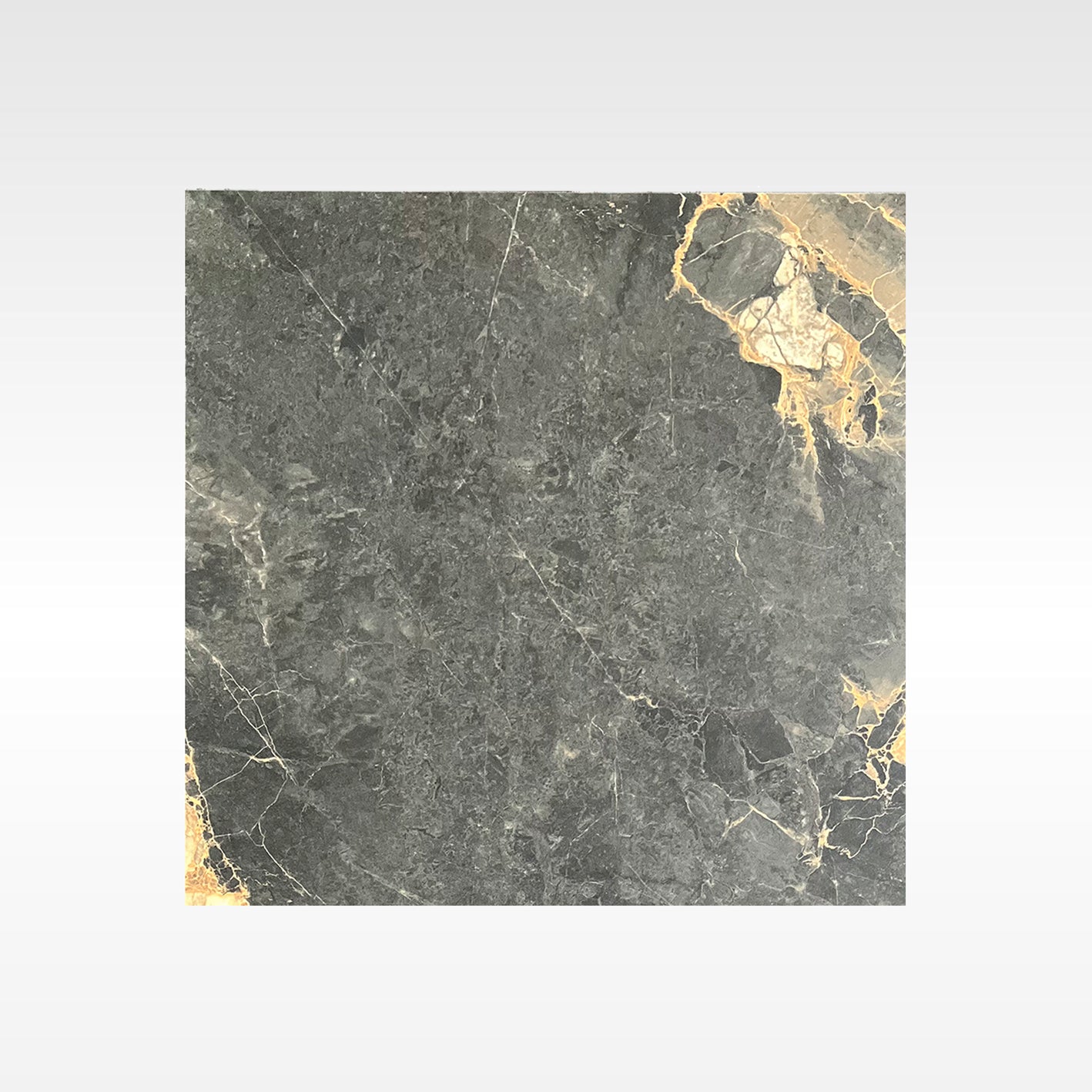 MONASH BLACK