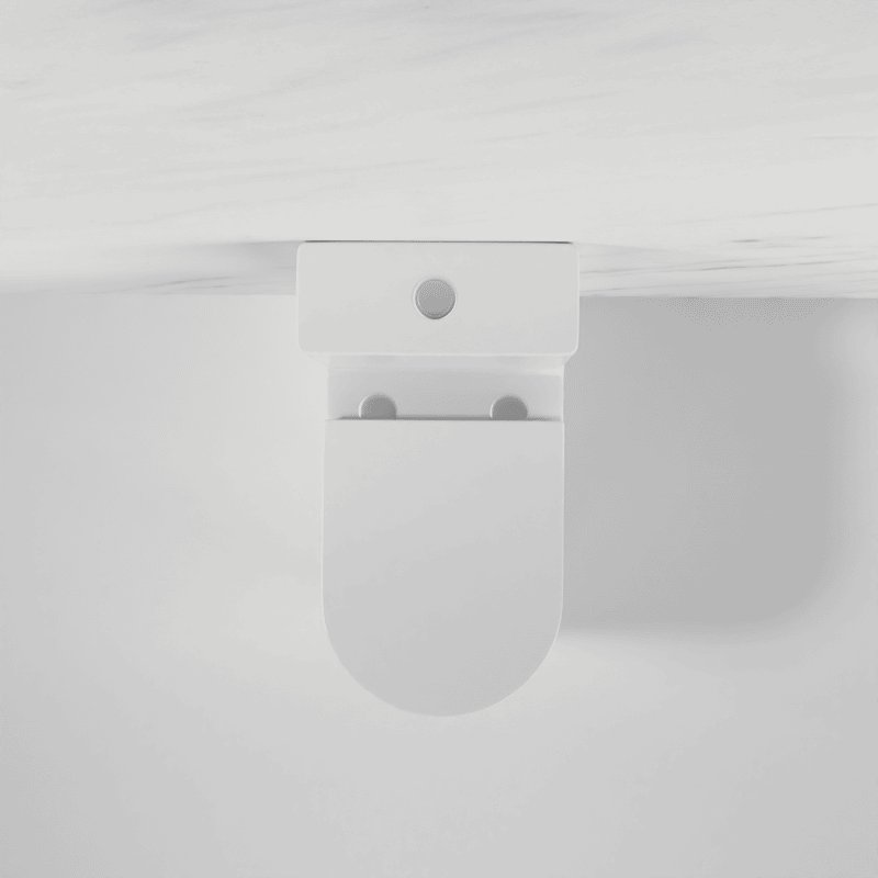 Azaria Gloss White + Geberit Cistern