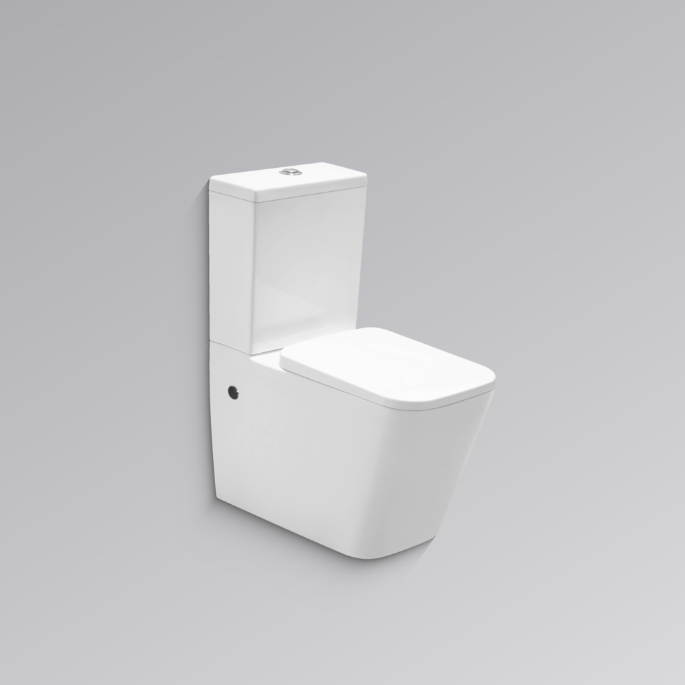 CITI Rimless Back to Wall Toilet Suite