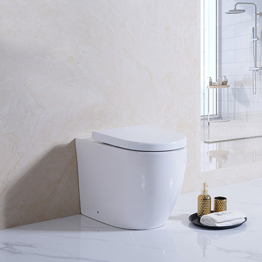 PALA Rimless Wall Faced Toilet