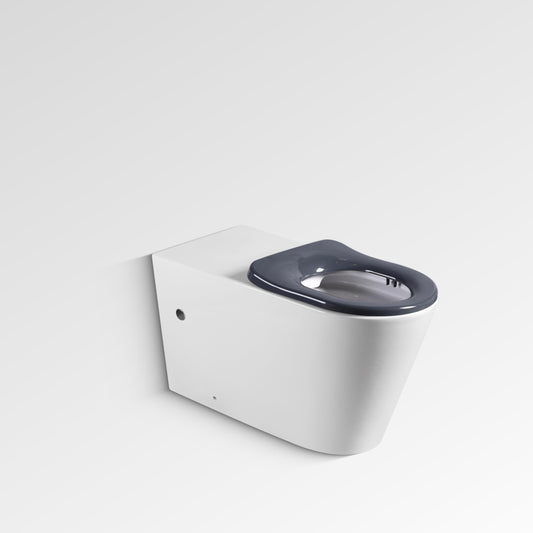 HESTON Rimless Disabled Wall Faced Toilet