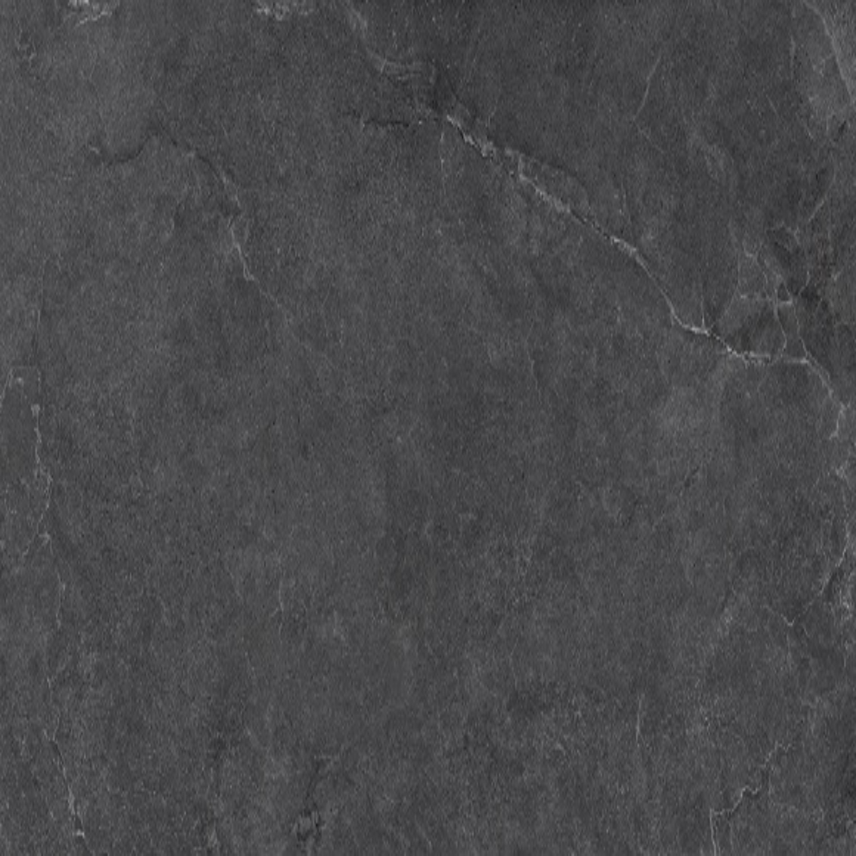 Petra Marle Coal